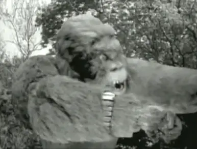 tumblr 71d172eab80ad922f2d97a4ad1c7671e 38643f8c 400