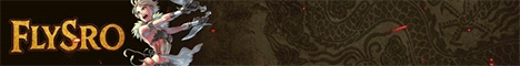 Banner 11