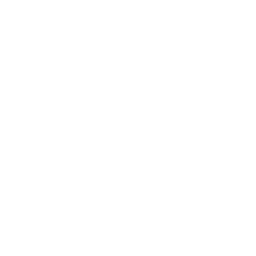 PindesinBot