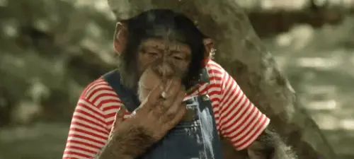 tumblr 5dd2244a3a9b191a8781ef99b7106f36 dec18f71 540