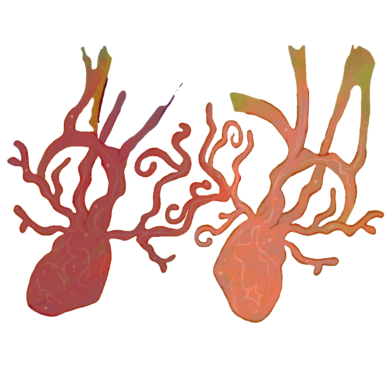 ac: ilove_borzois on twitter