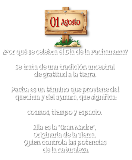 PACHATEXTO1