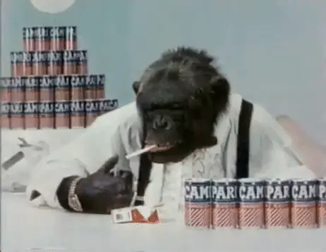 tumblr ccf4d383cfd36e7bc15ef768c0aec5b5 05d2b3d6 500