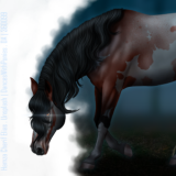 bNcma