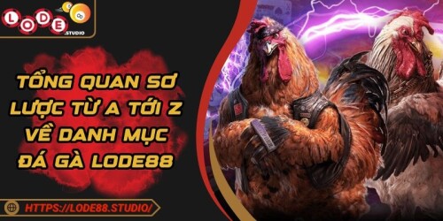 bNgMJ.jpg