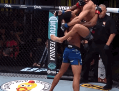 bNjj3.gif