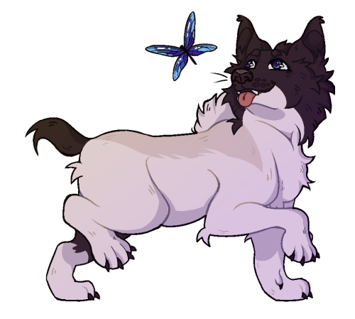 bNpd5.png