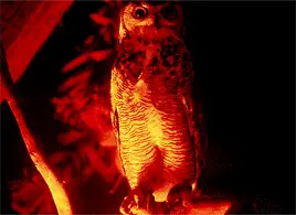 tumblr 945d0a8b81d6bb38bc91ae61e91123bc 4b548342 400