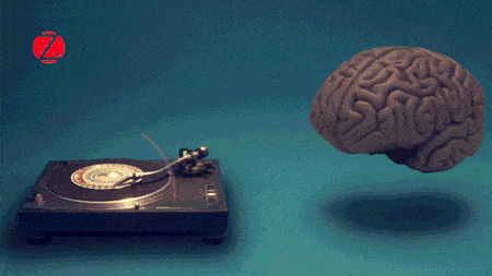 https://s14.gifyu.com/images/bNybY.gif