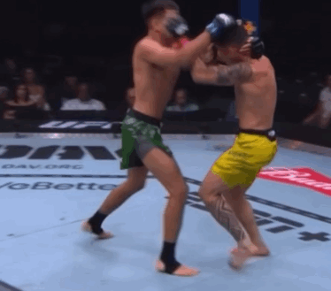 bT193.gif