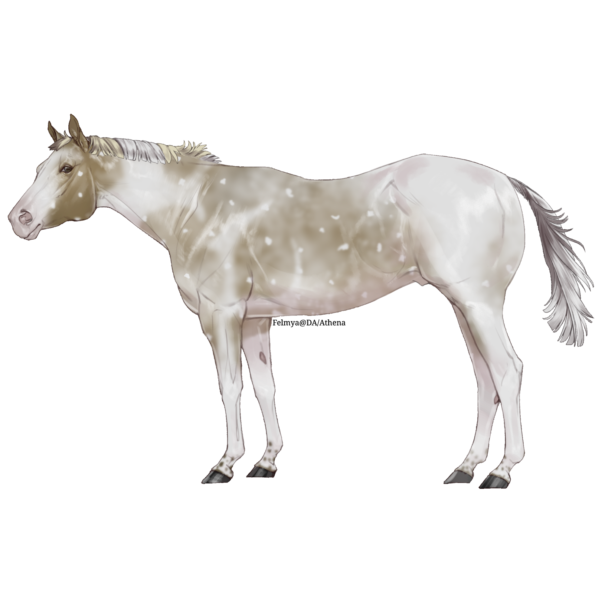 bT2LG.png