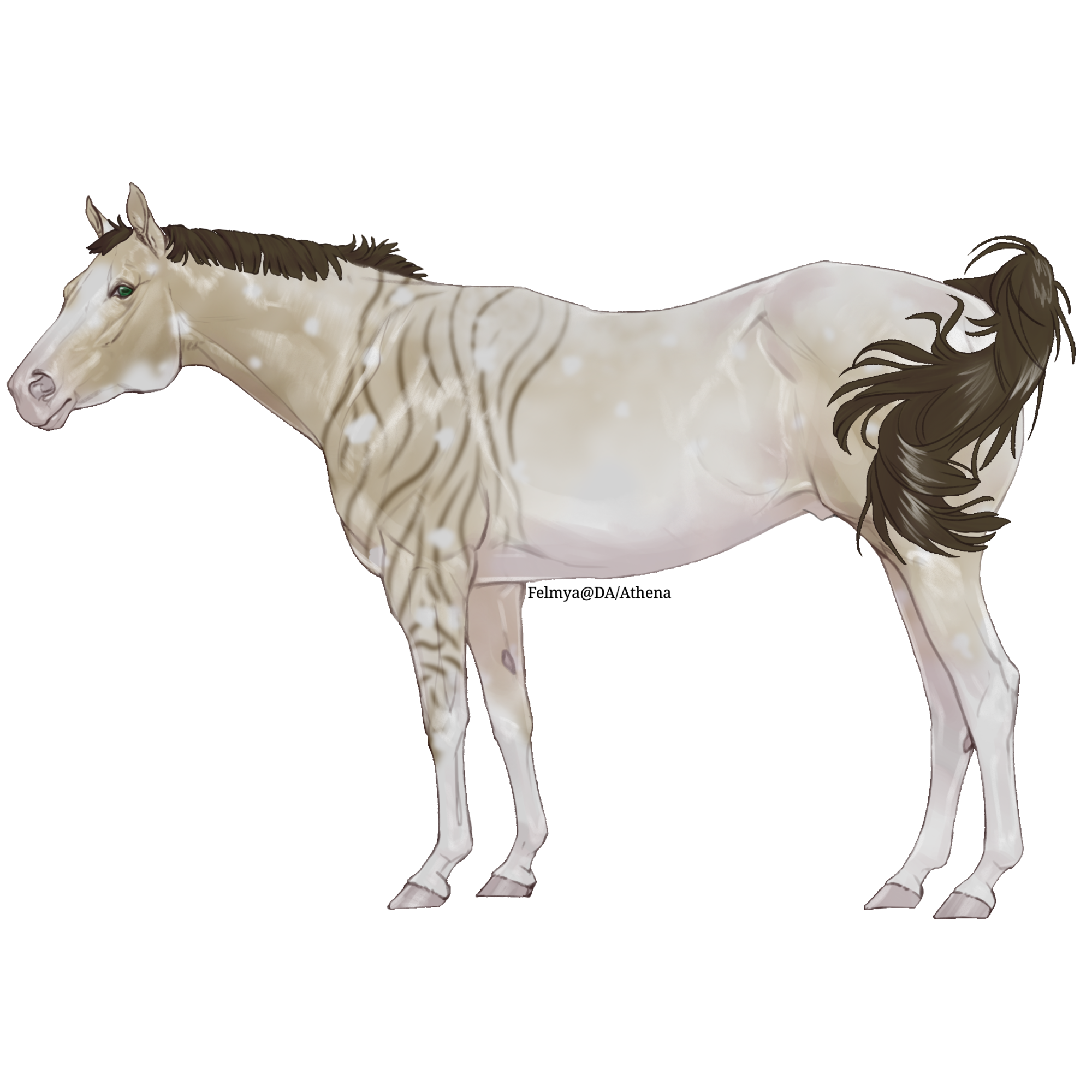 bT2Le.png