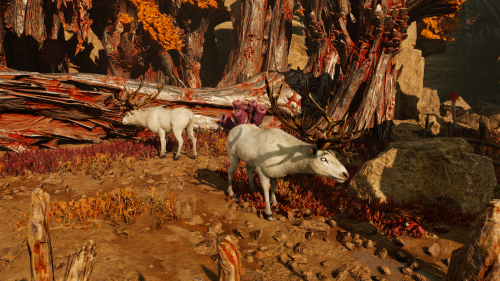 God of War Ragnarök 2024.11.27 19.25