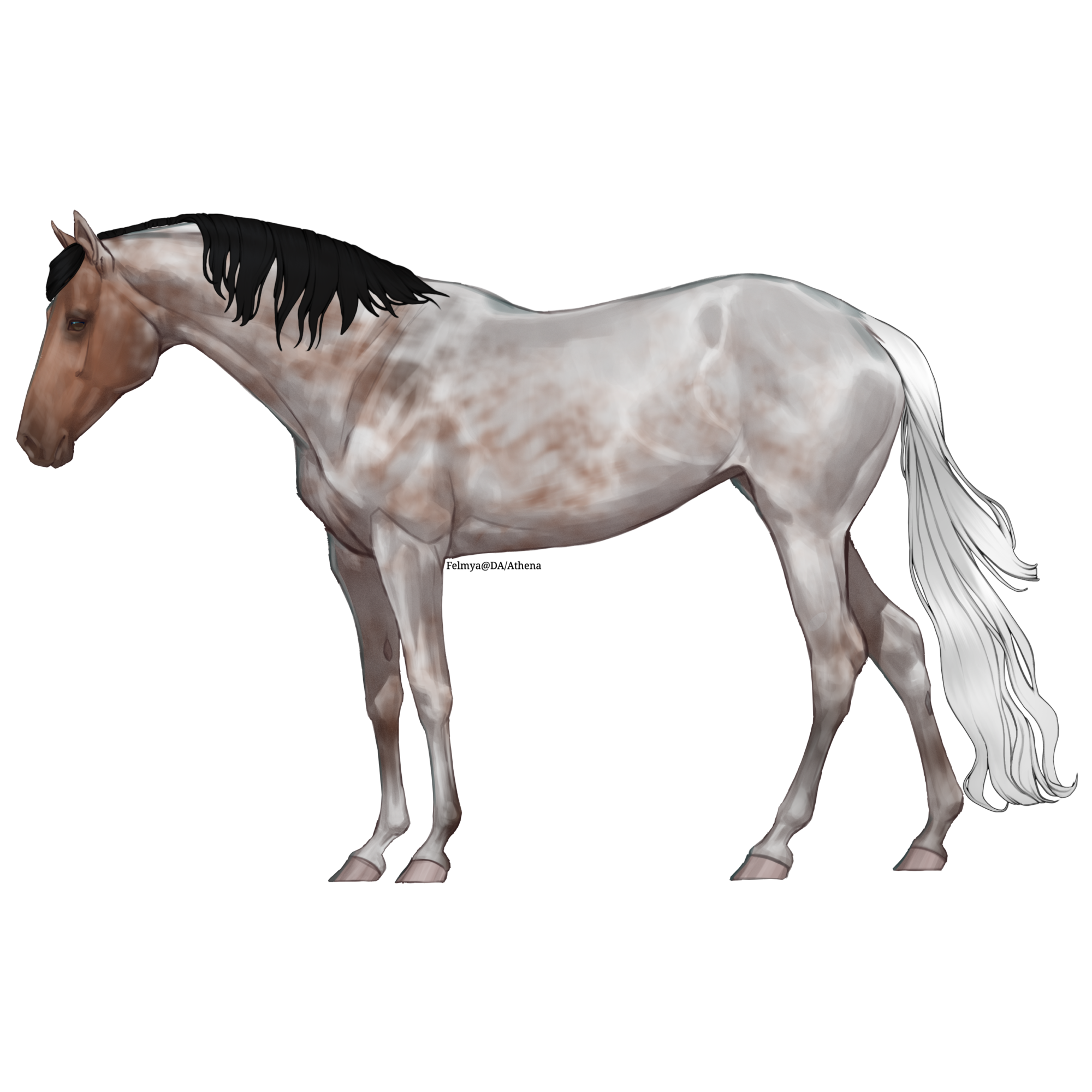 bT2sz.png