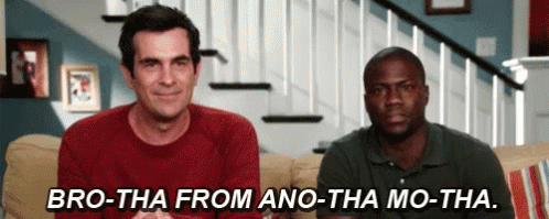 bT6y7.gif