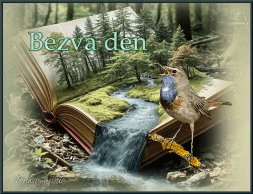 bT7CZ.gif