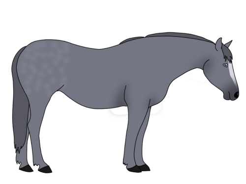 greydraftfinal