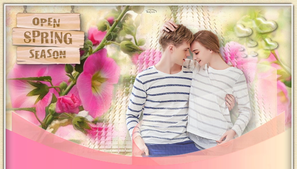 Imagen16 1x1