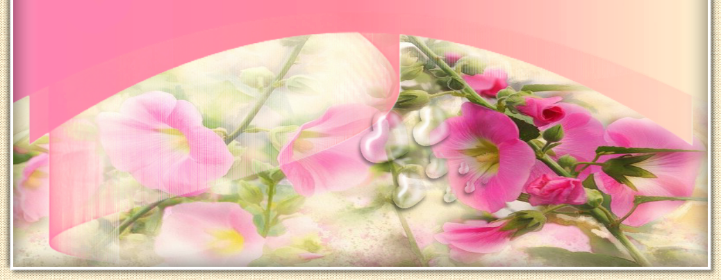 Imagen16 3x1