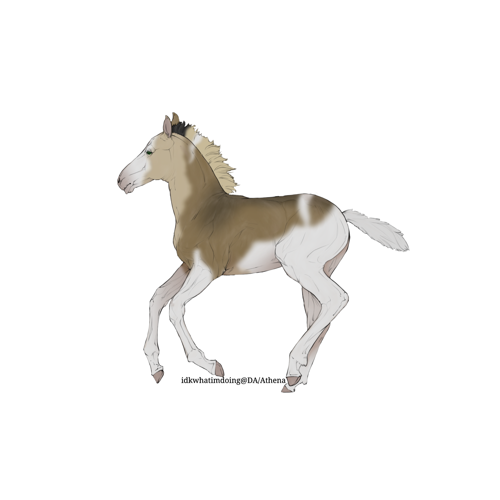 bTHk0.png
