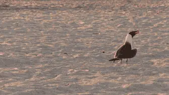 tumblr 2cf30224312128bc9f65353de58fe48c b25cfe9f 400