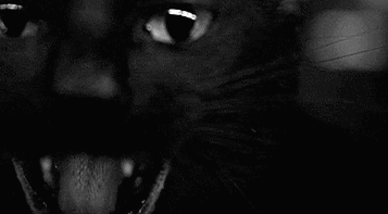 0rn2.gif