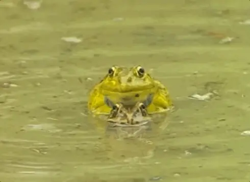 tumblr 902e2ddc24add61e33ce17d3609f9527 bab07cb7 500