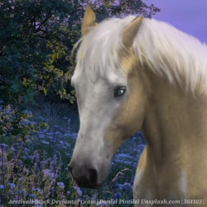 bTTFR.png