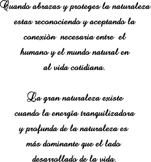 rociotextohechi