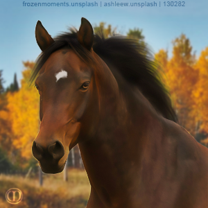 bTUrH.png