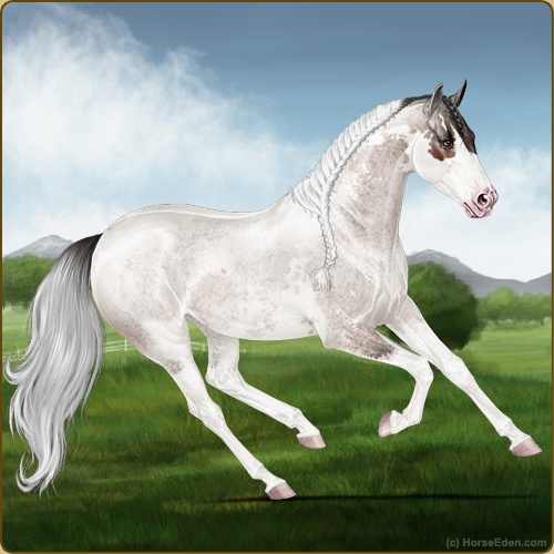 Rocheux