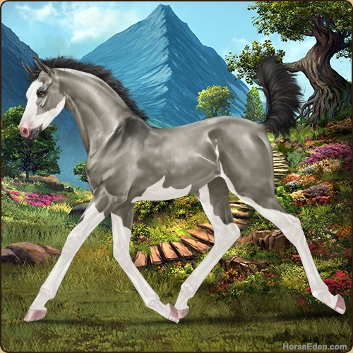 KasMyron