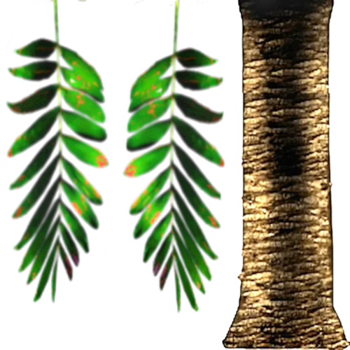 dark palm redone zpslhqzl5gy