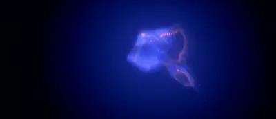 tumblr 3083057e54ffe7cbe923eb148c22f93a 1fed5375 400