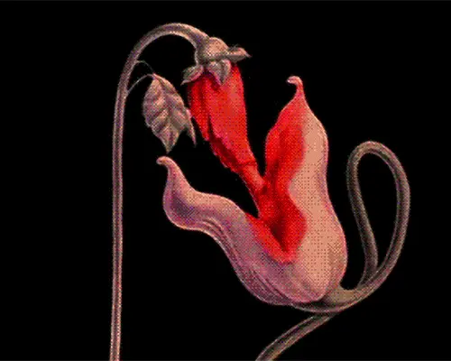 tumblr 66eec4d8eb7a29e3b6aec04fcd112a2a 2a6e58c6 500