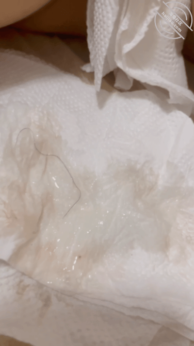 GIF Image