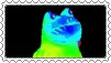 IMG 2922