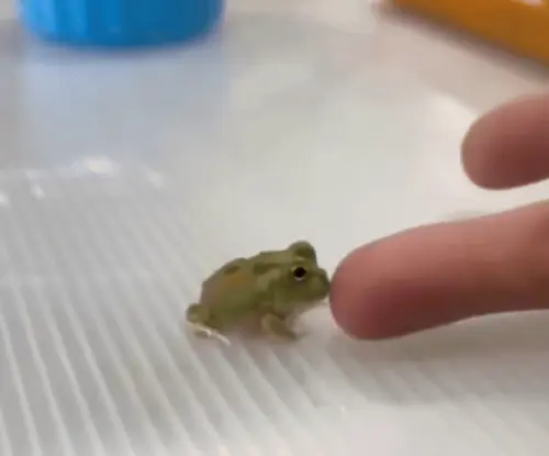 tumblr e52fff9f370f6d0dc600b4c9432c0c48 e513eae4 1280