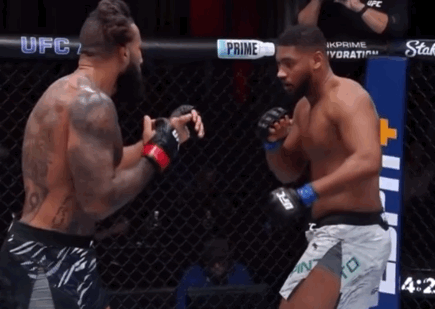 bTrC9.gif