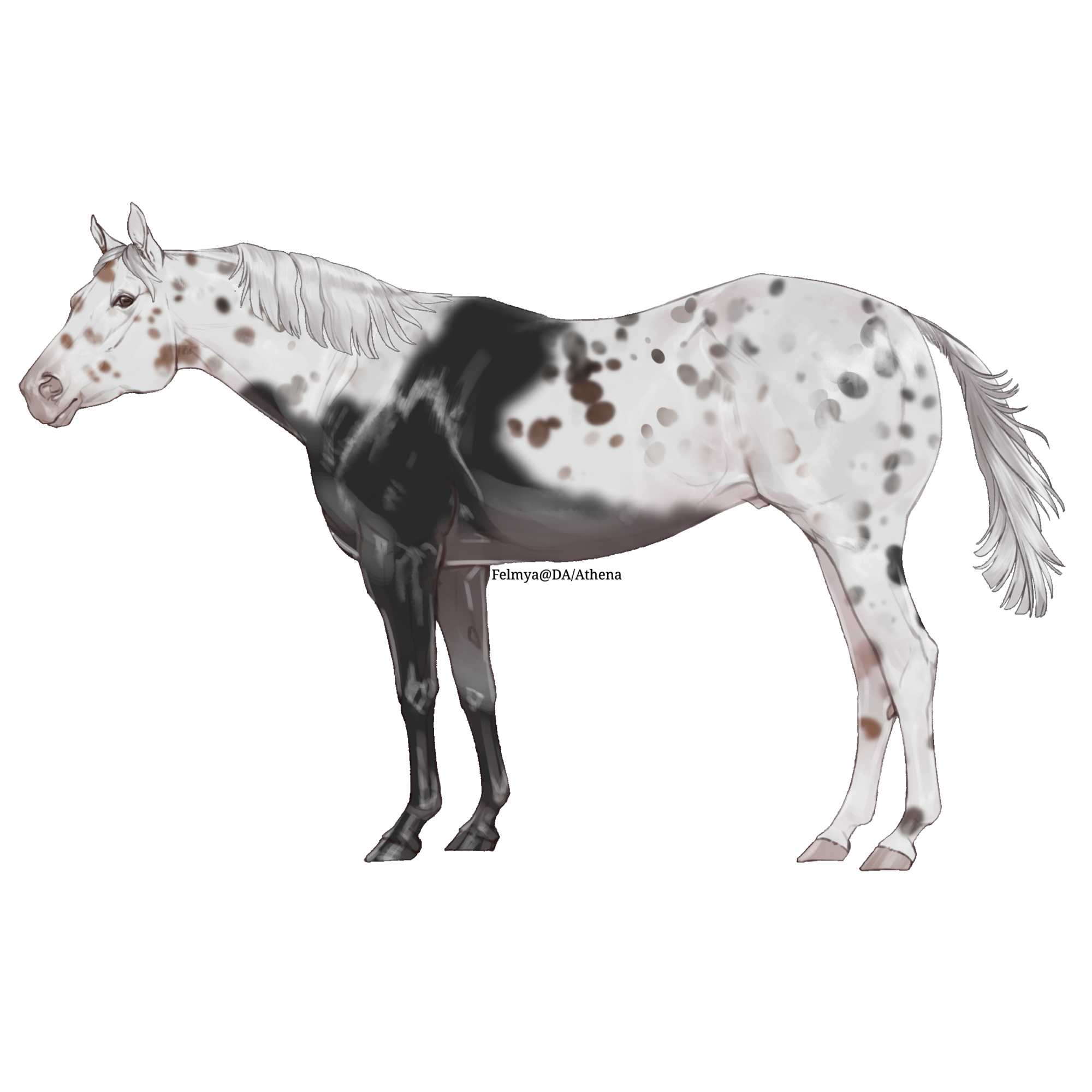 bTwO7.png