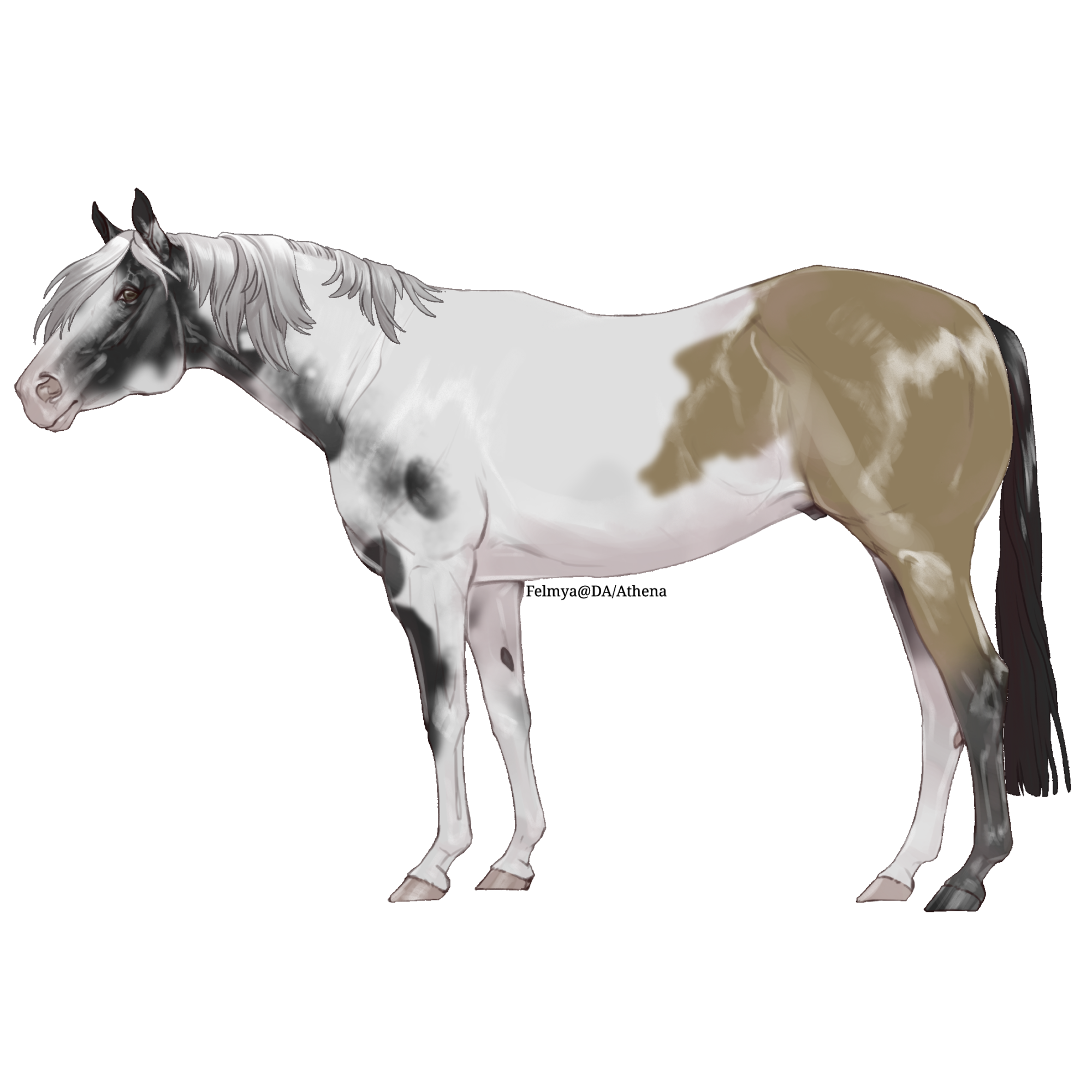 bTwOI.png
