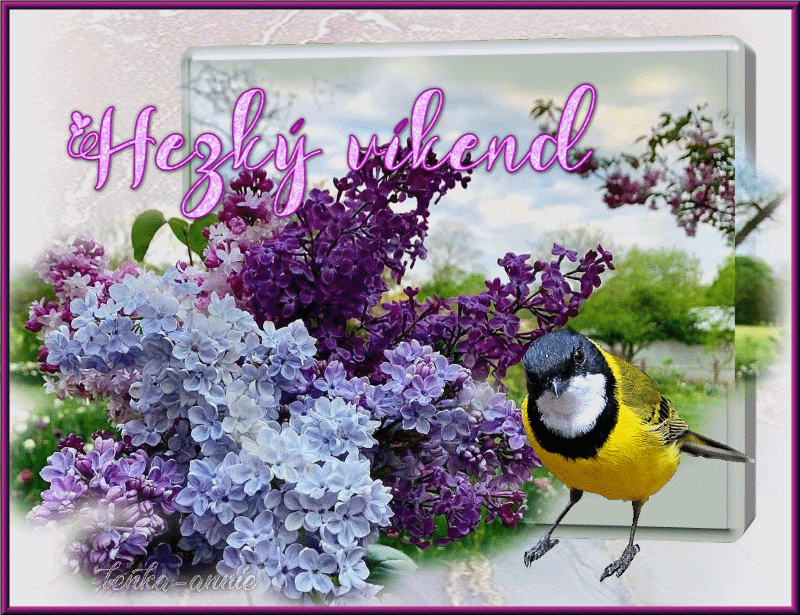 An den Beitrag angehängtes Bild: https://s14.gifyu.com/images/bs5AT.gif