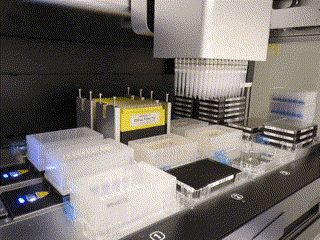 cell seeding plate movement gif