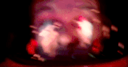 https://s14.gifyu.com/images/bsGIU.gif