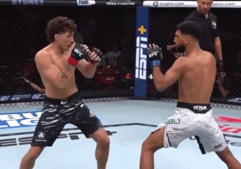 bsIq2.gif