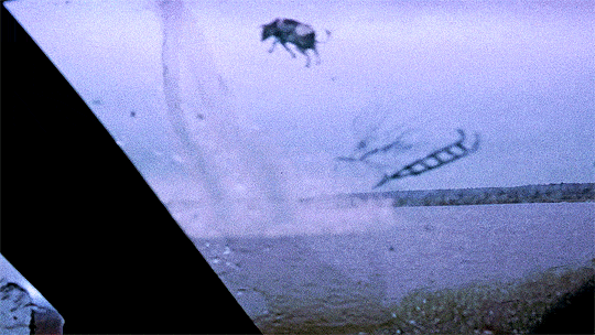 https://s14.gifyu.com/images/bsNIA.gif