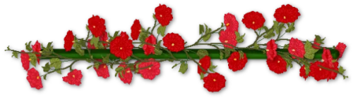 red flower line
