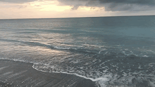 bsd6a.gif