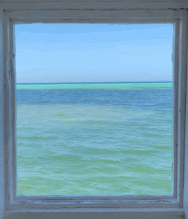 bskCI.gif