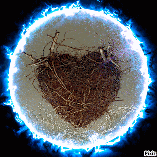 bsv56.gif